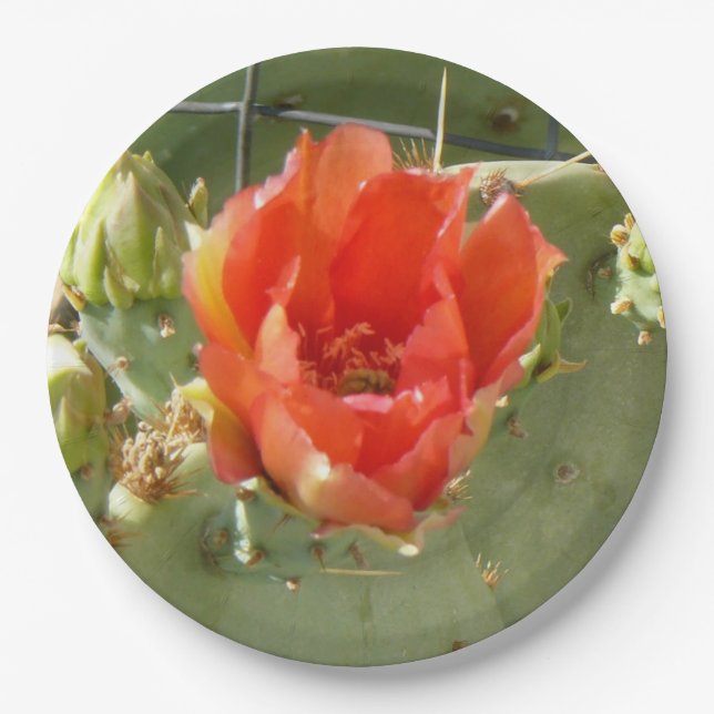 Cactus Tough and Beautiful large paper plates (Front)