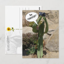 Cactus Tourist, Say CHEEESE - postcard