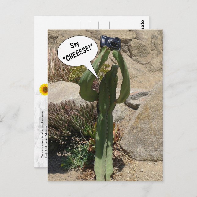 Cactus Tourist, Say CHEEESE - postcard (Front/Back)