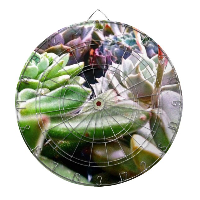 Cactus Variety Dartboard (Front)