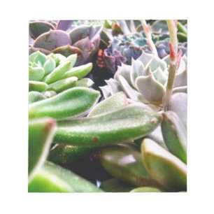 Cactus Variety Notepad