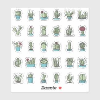 Cactuses Succulents Plants Hand Drawn Botanical