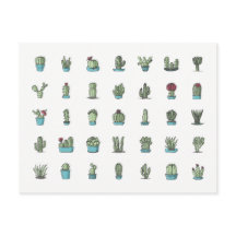 Cactuses Succulents Plants Hand Drawn Botanical
