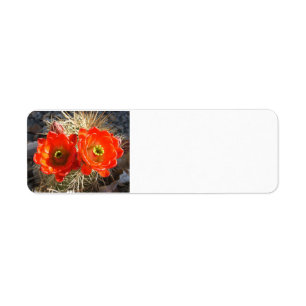 Cacus blossom return labels