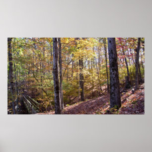 Caddo Bend Trail Bridge in Autumn Forest Poster
