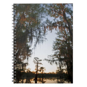 Caddo Lake at sunrise Notebook