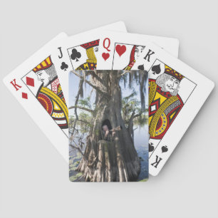 Caddo Lake, hunting blind Playing Cards