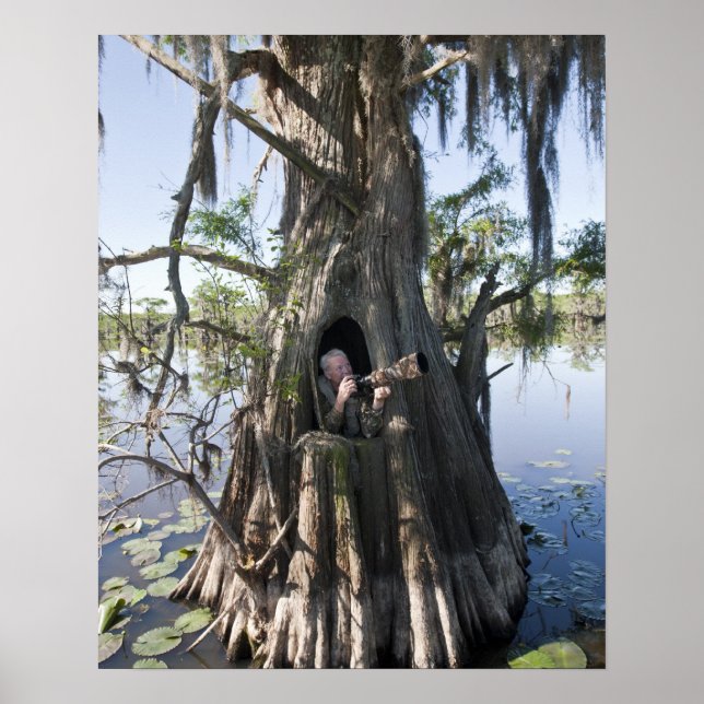 Caddo Lake, hunting blind Poster (Front)