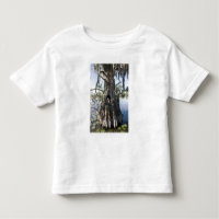Caddo Lake, hunting blind