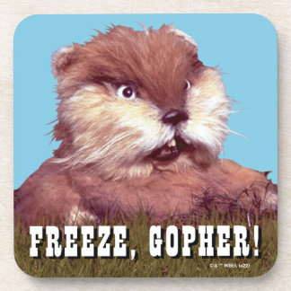 Caddyshack | Freeze, Gopher! Coaster