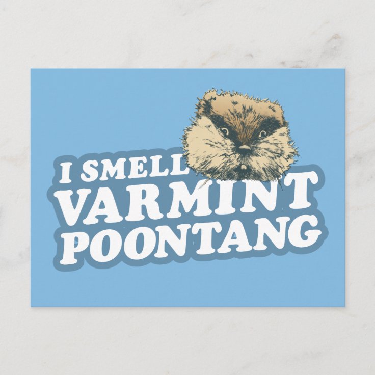 Caddyshack Smell Varmint Poontang Postcard Zazzle