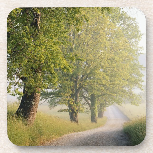 Cades Cove | Great Smokey Mountains, TN Coaster (Front)