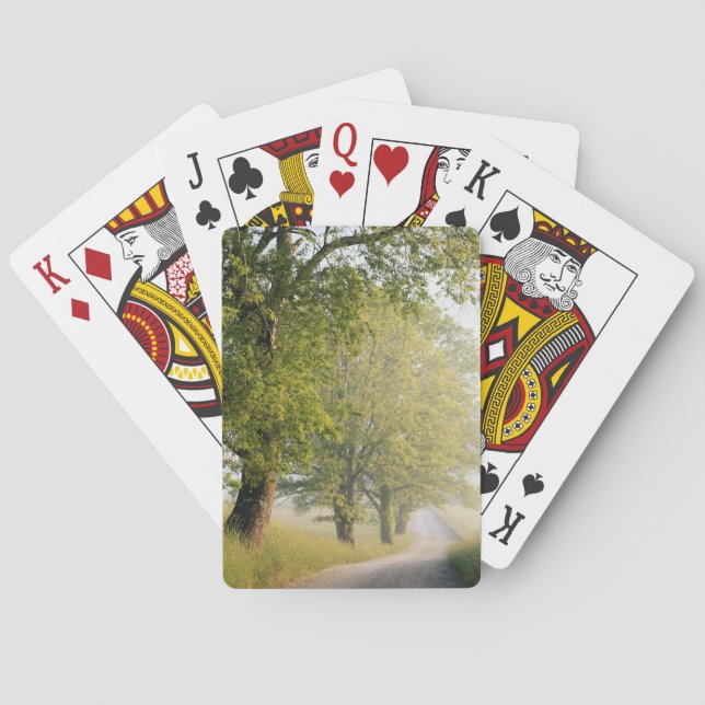 Cades Cove | Great Smokey Mountains, TN Playing Cards (Back)