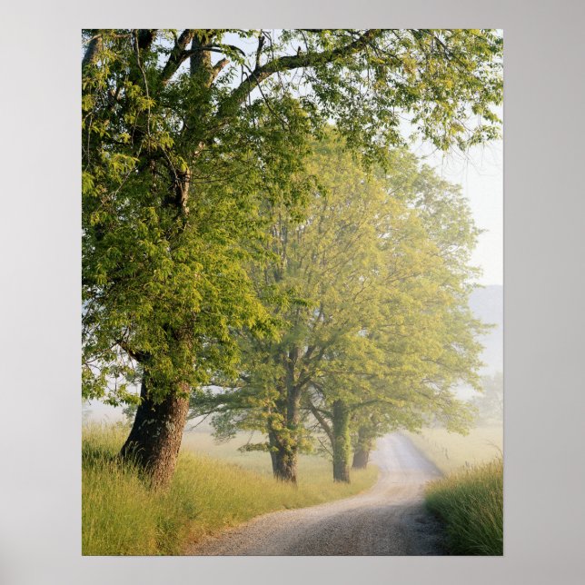 Cades Cove | Great Smokey Mountains, TN Poster (Front)