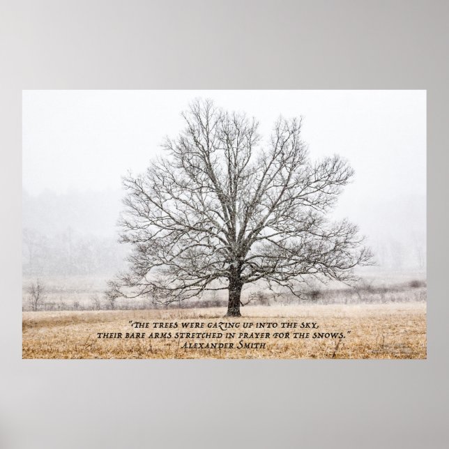 Cades Cove in the Snow Poster (Front)