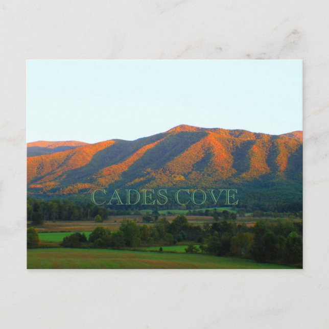 Cades Cove Overlook Postcard (Front)
