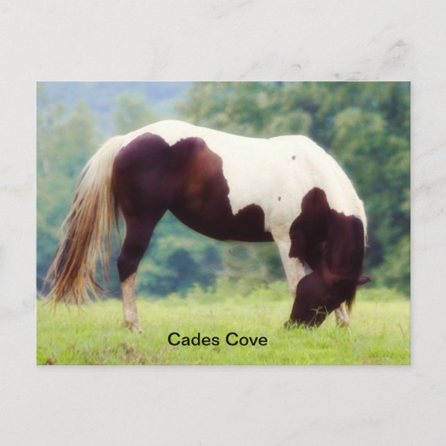 Cades Cove postcard (Front)