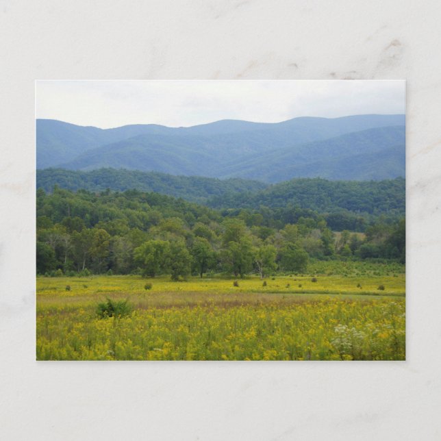Cades Cove Postcard (Front)