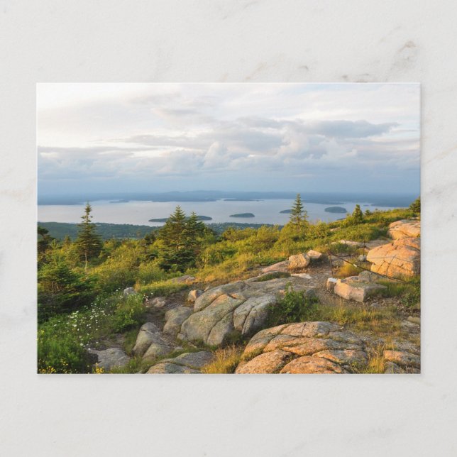 Cadillac Mountain Acadia National Park Postcard (Front)