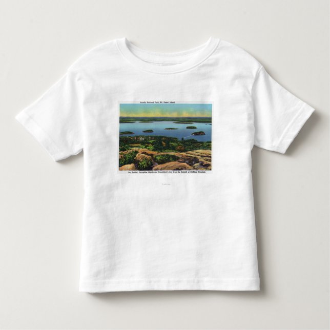 Cadillac Mt Summit View of Bar Harbour Toddler T-Shirt (Front)