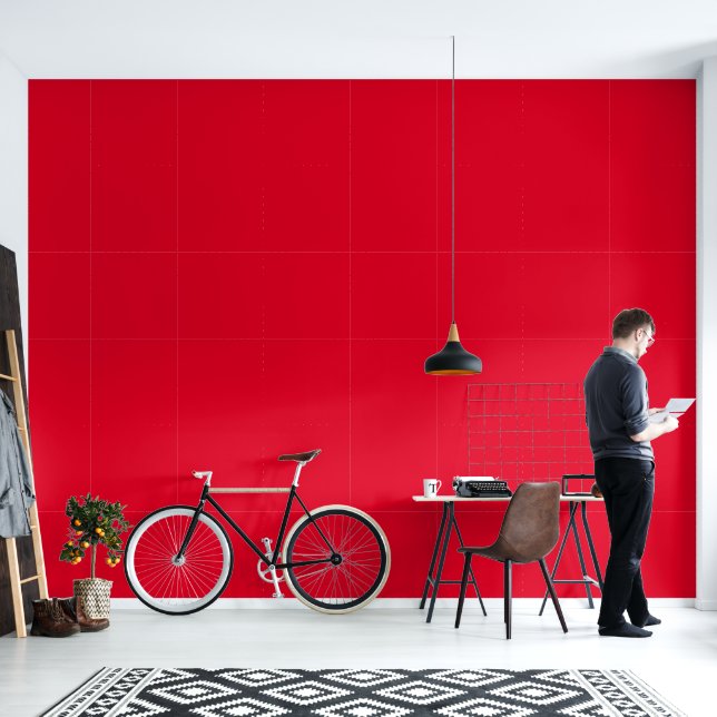 Cadmium Red Solid Colour Wallpaper (Living Room)