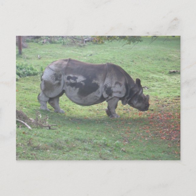 CAE5ULC1 POSTCARD (Front)