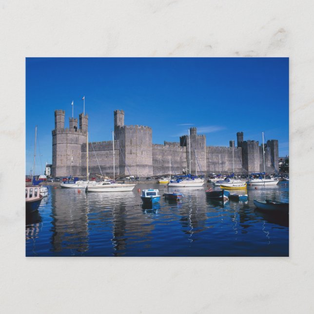 Caernarfon Castle, Gwynedd, Wales Postcard (Front)