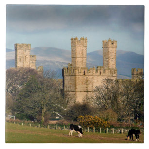 Caernarfon Castle Wales. Ceramic Tile