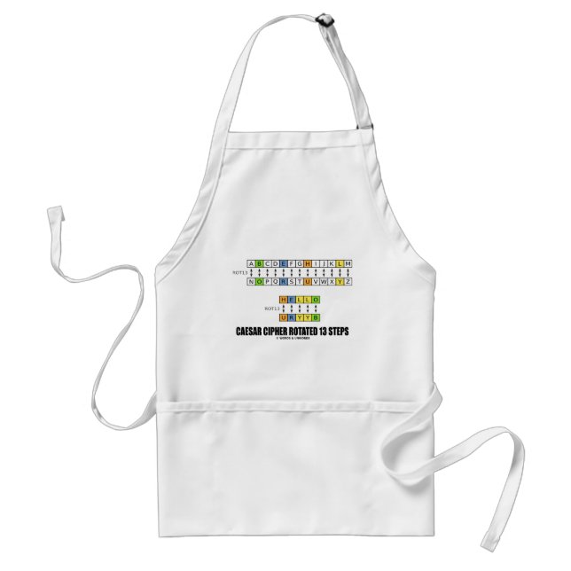 Caesar Cipher Rotated 13 Steps (Cryptography) Standard Apron (Front)