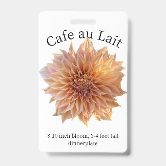 Cafe au Lait Dahlia ID Badge