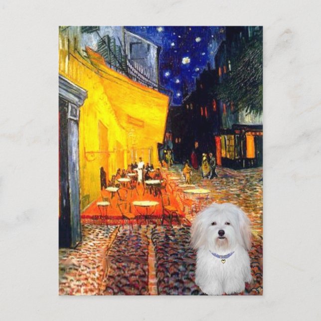 Cafe - Coton de Tulear 4b Postcard (Front)