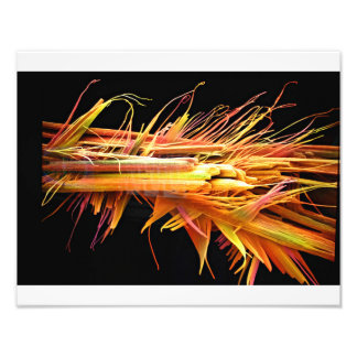 Caffeine Crystals Print