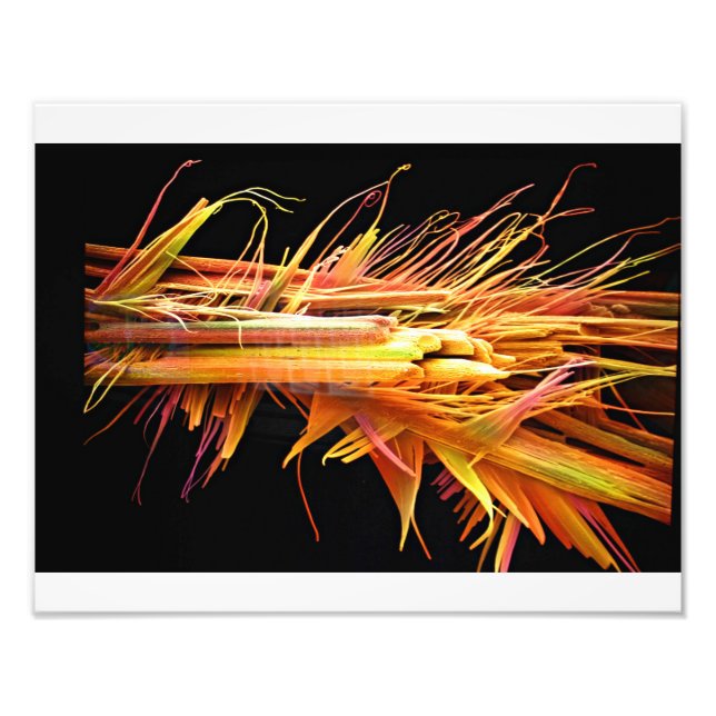 Caffeine Crystals Print (Front)