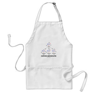 Caffeine Metabolites (Caffeine Molecule Chemistry) Standard Apron