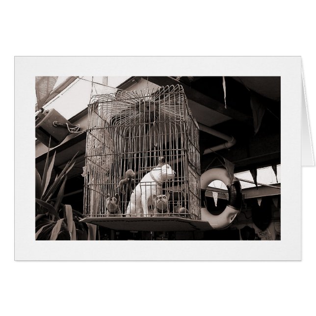 Caged Beasts (Front Horizontal)