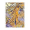 Caged Tiger Art Postcard