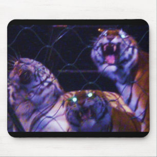 CAGED TIGERS mouse pad