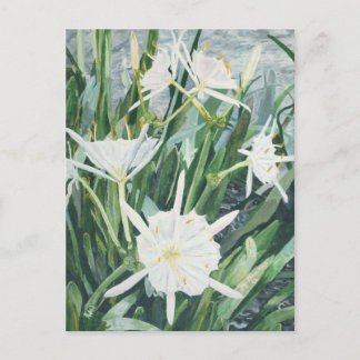 Cahaba Lilies Postcard
