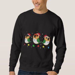 Caique Bird Parrot Christmas Lights Funny Pet Xmas Sweatshirt