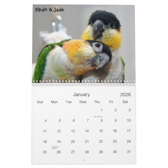 Caique Calendar 2010 (Jan 2026)