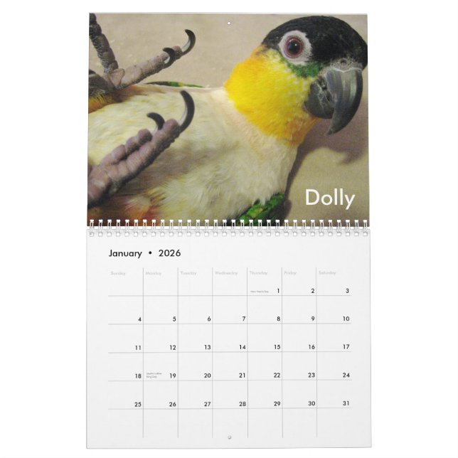 Caique Crazy 2011 Calendar (Jan 2026)