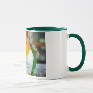 Caique Crazy! Mug