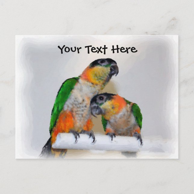 Caique Parrot Pair Customisable Postcard (Front)