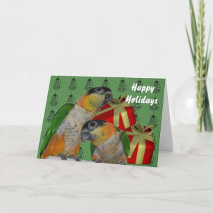 Caique Parrots Christmas Holiday Card