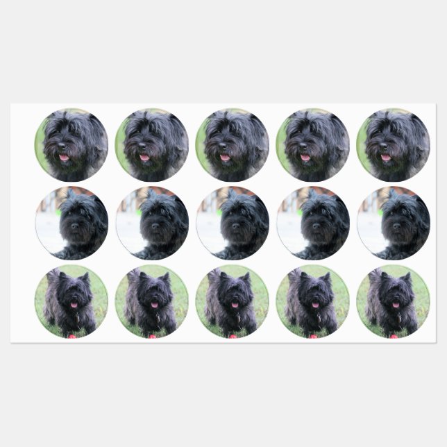 Cairn (Sheet)