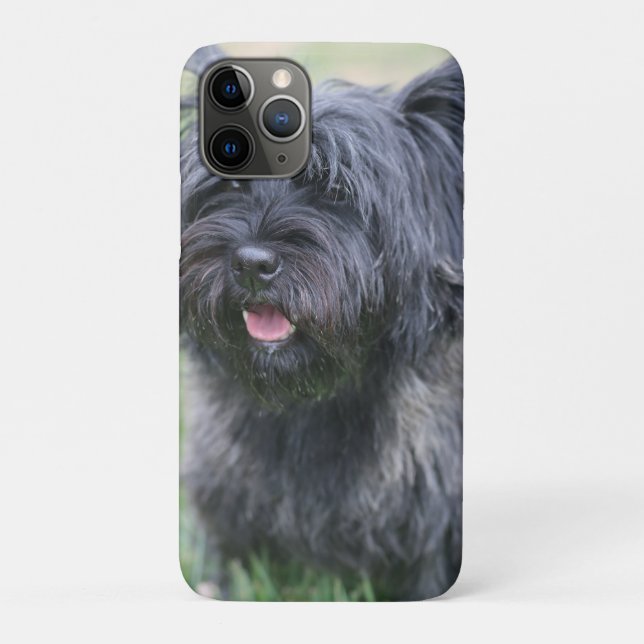 Cairn  Case-Mate iPhone case (Back)