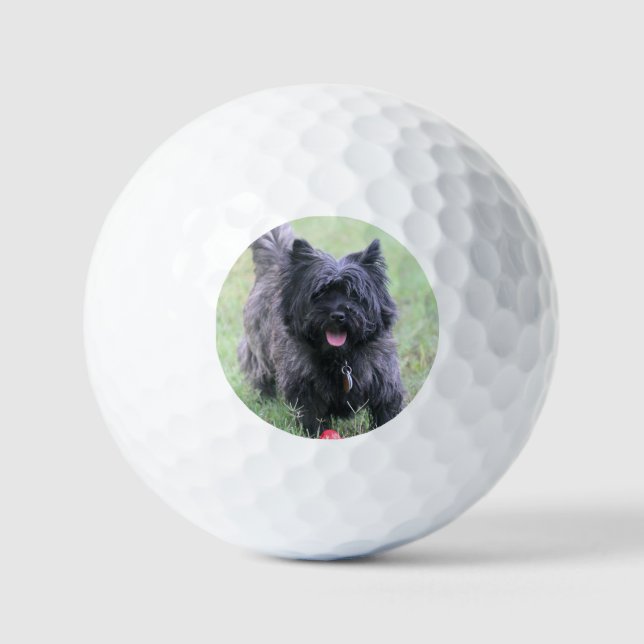 Cairn  golf balls (Front)