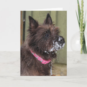 Cairn in snow card