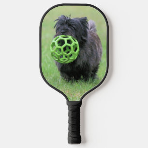 Cairn  pickleball paddle