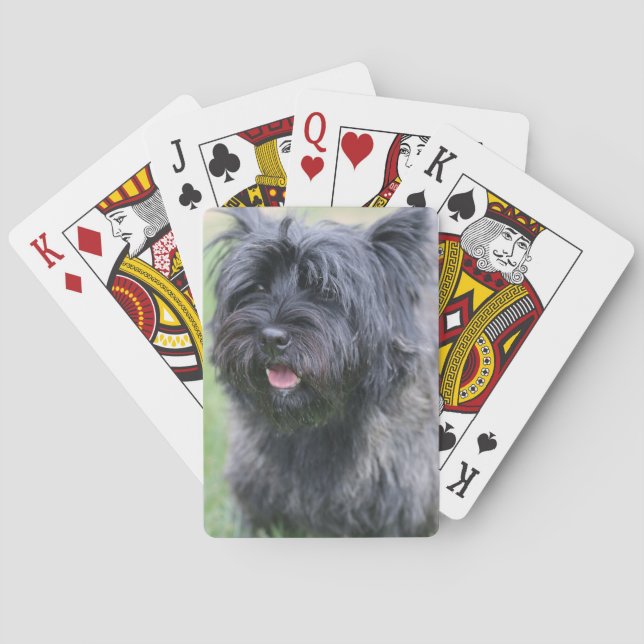 Cairn  playing cards (Back)